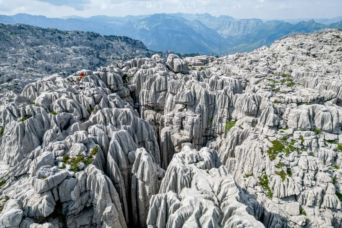tresteni vrh maganik