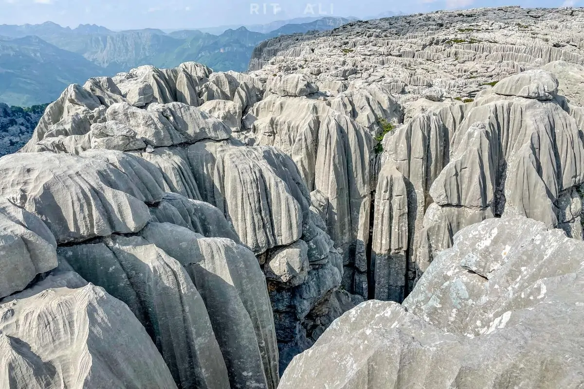 tresteni vrh maganik
