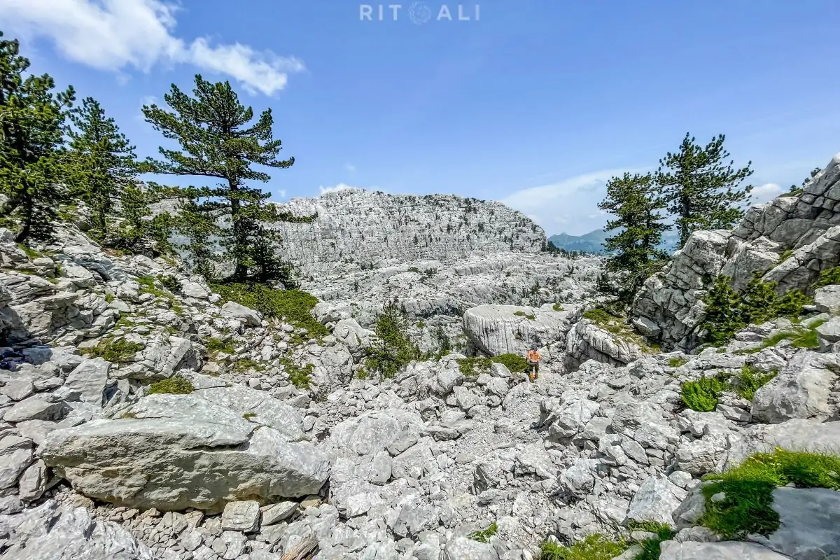 tresteni vrh maganik