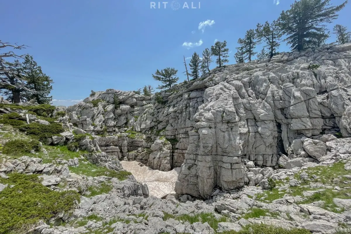 tresteni vrh maganik crna gora