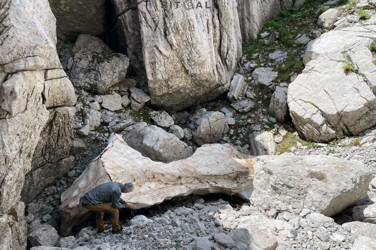 tresteni vrh maganik