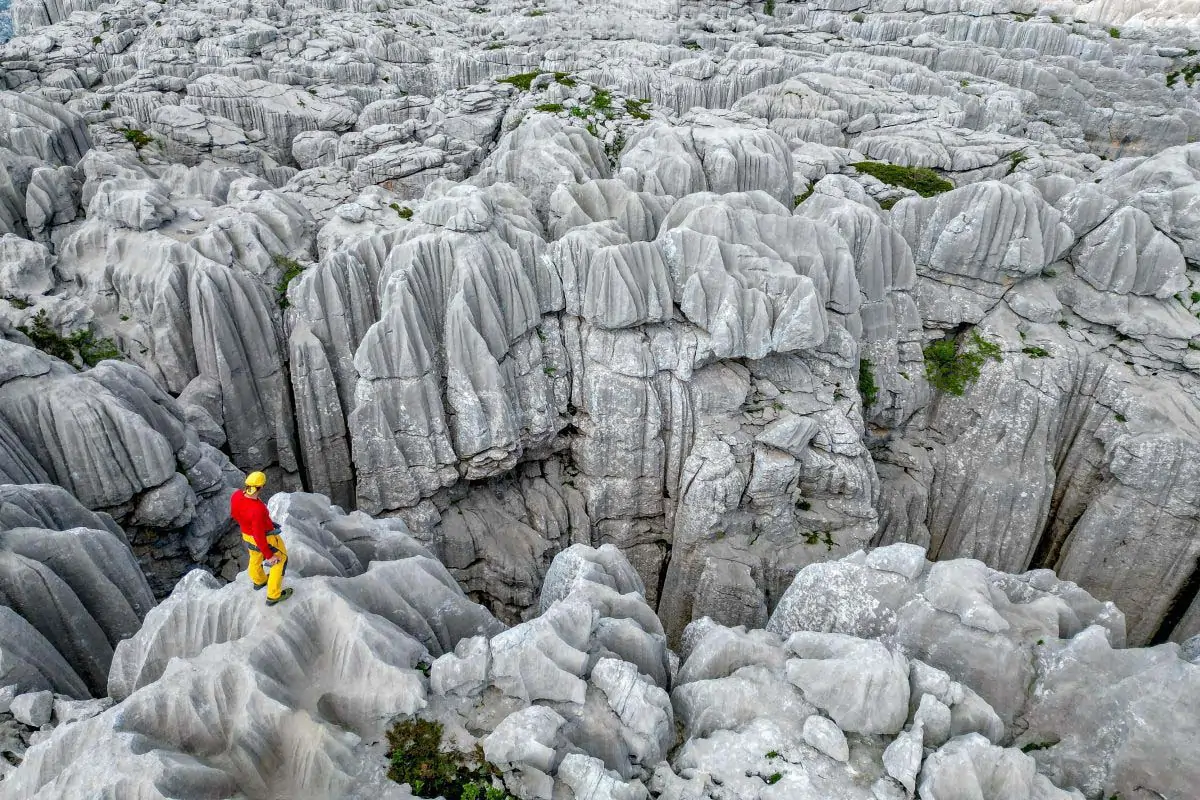 TREŠTENI VRH. CRNOGORSKA EPOPEJA