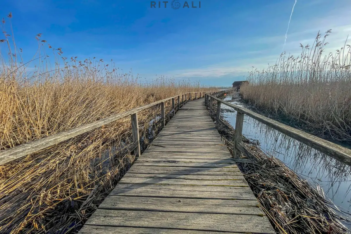 JEZERO TISA. MAGIJA ZIME U MOČVARI