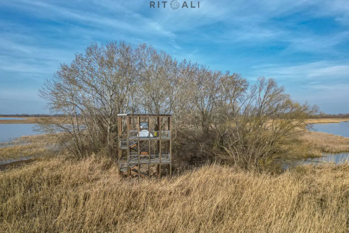 JEZERO TISA. MAGIJA ZIME U MOČVARI