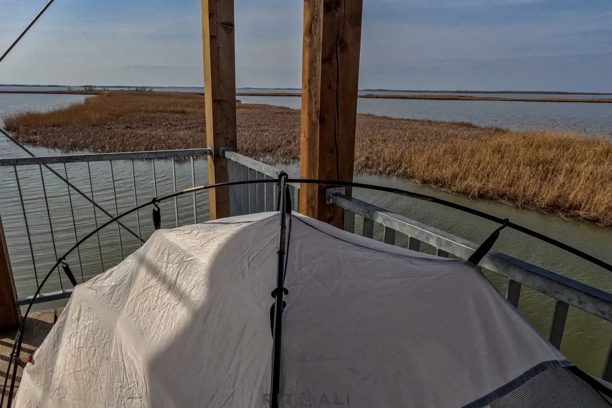 JEZERO TISA. MAGIJA ZIME U MOČVARI