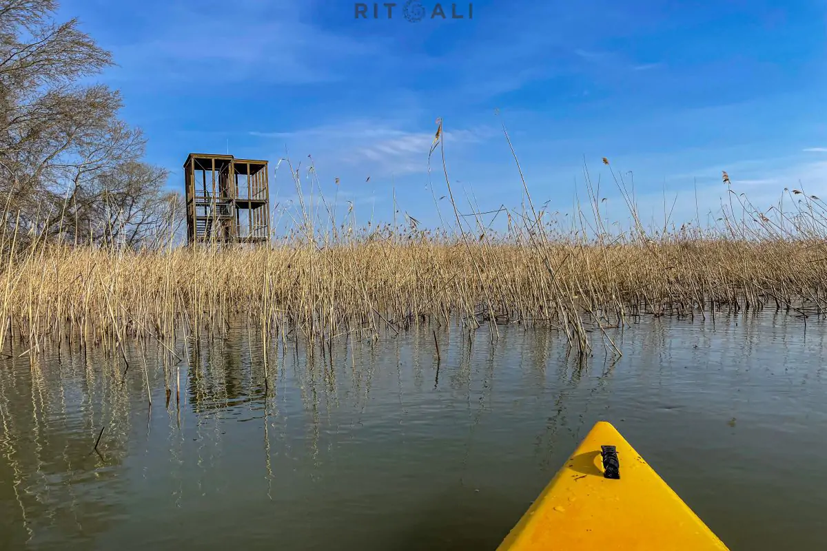 JEZERO TISA. MAGIJA ZIME U MOČVARI
