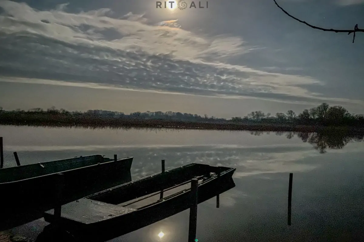 JEZERO TISA. MAGIJA ZIME U MOČVARI