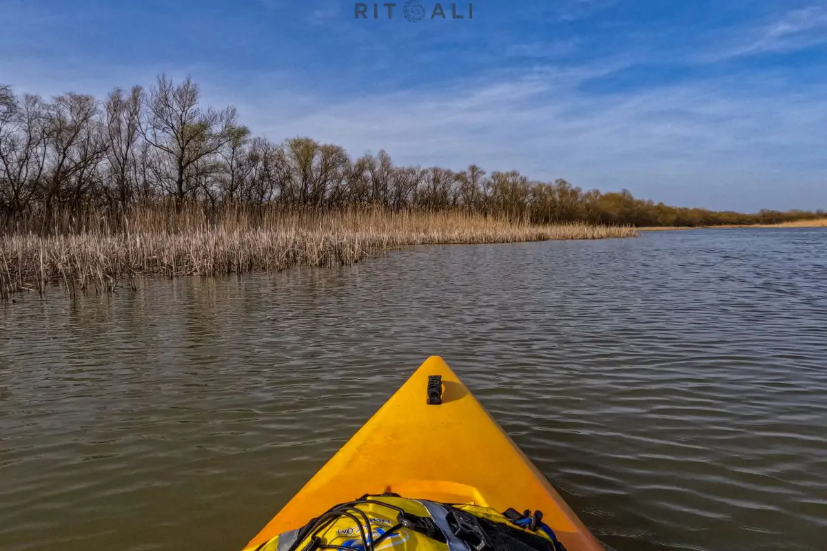 JEZERO TISA. MAGIJA ZIME U MOČVARI
