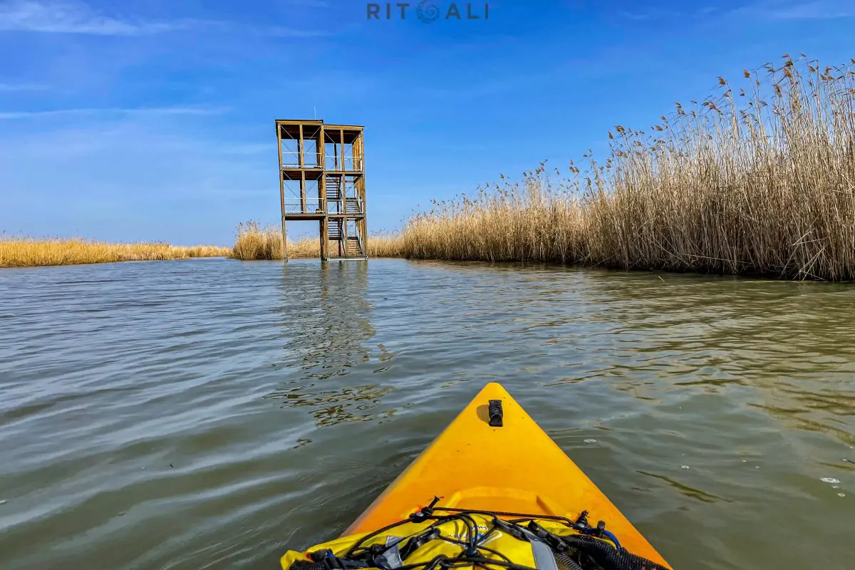 JEZERO TISA. MAGIJA ZIME U MOČVARI