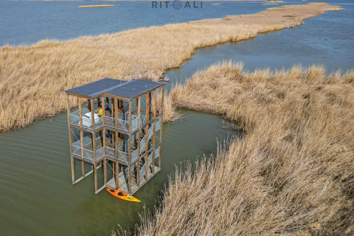 JEZERO TISA. MAGIJA ZIME U MOČVARI