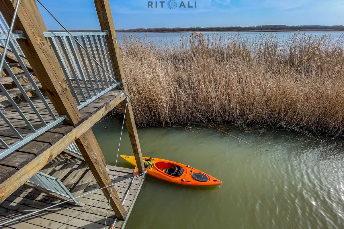 JEZERO TISA. MAGIJA ZIME U MOČVARI