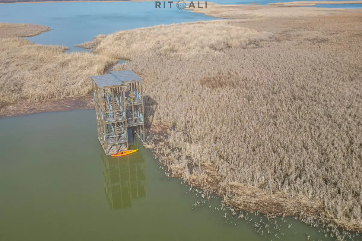 JEZERO TISA. MAGIJA ZIME U MOČVARI