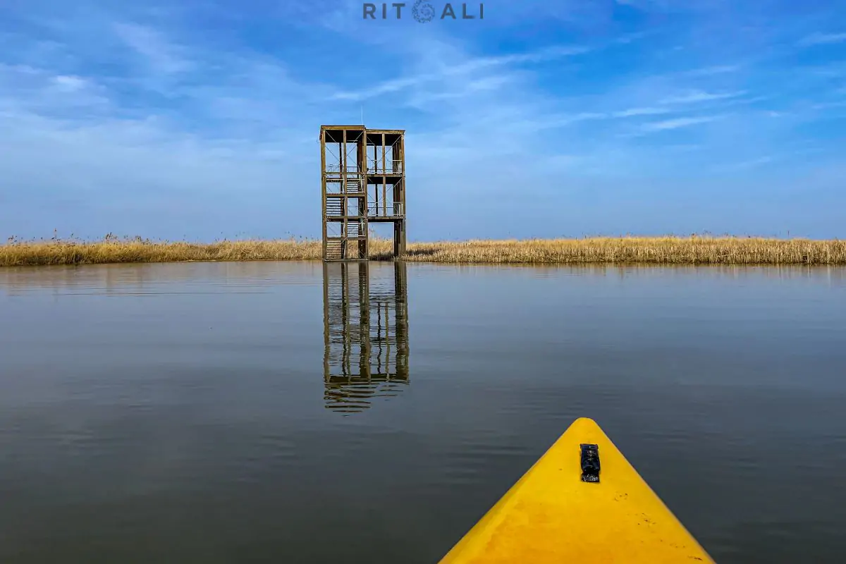 JEZERO TISA. MAGIJA ZIME U MOČVARI