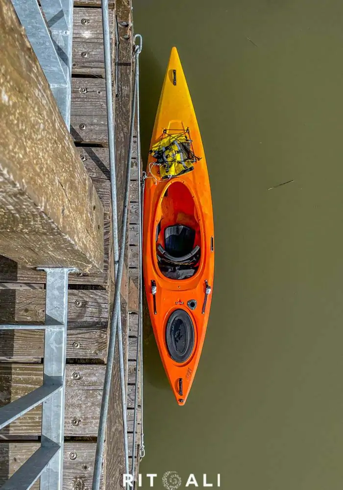 JEZERO TISA. MAGIJA ZIME U MOČVARI