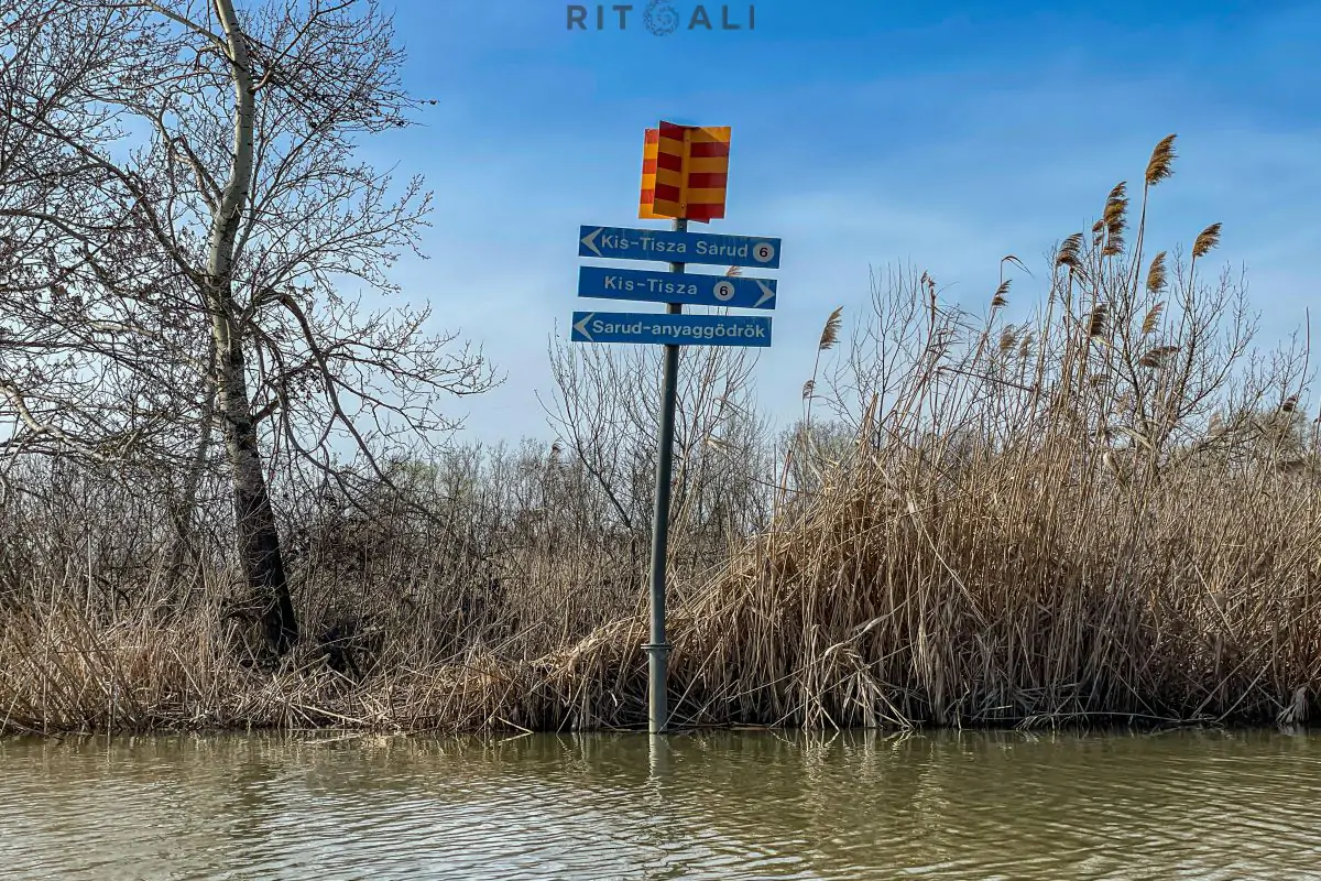 JEZERO TISA. MAGIJA ZIME U MOČVARI