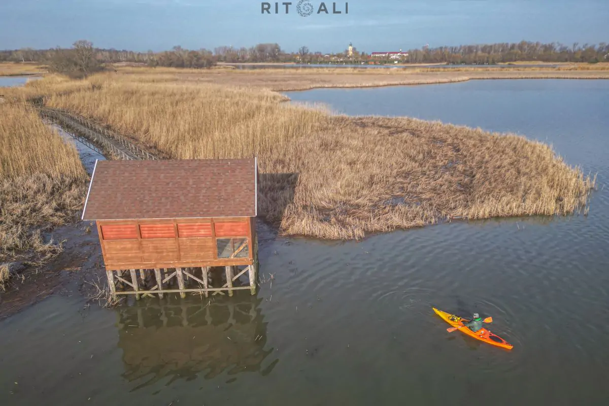 JEZERO TISA. MAGIJA ZIME U MOČVARI