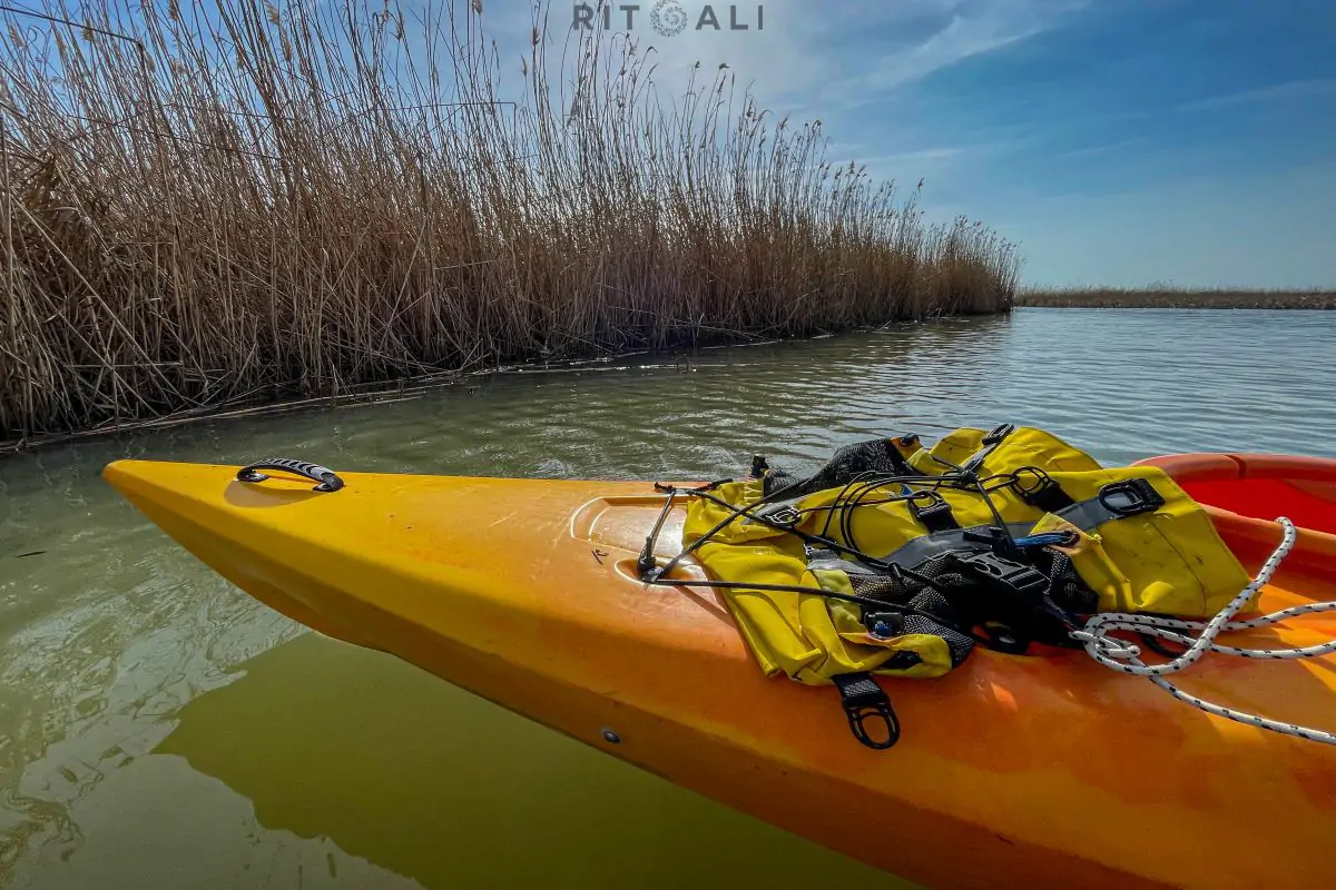 JEZERO TISA. MAGIJA ZIME U MOČVARI
