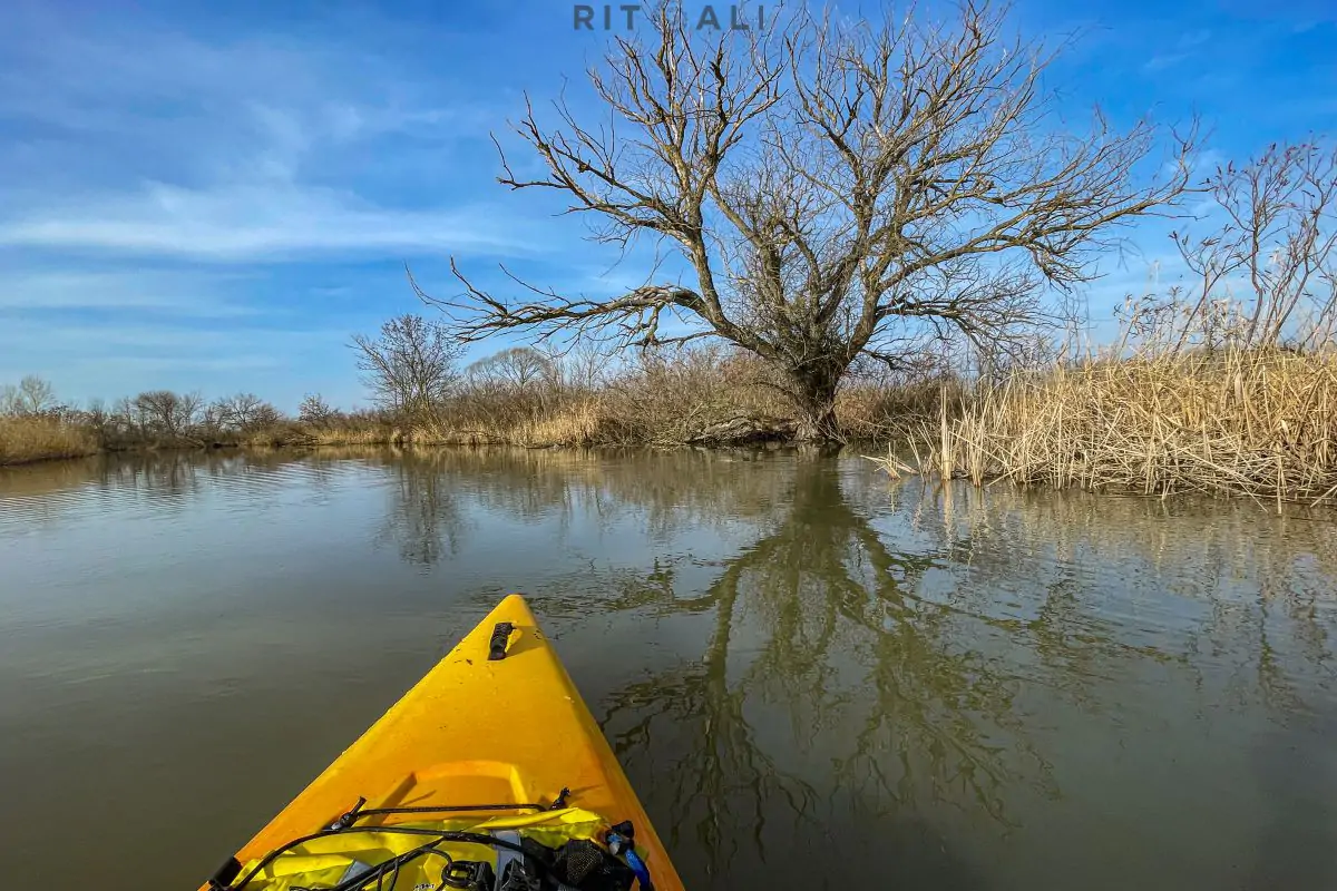 JEZERO TISA. MAGIJA ZIME U MOČVARI