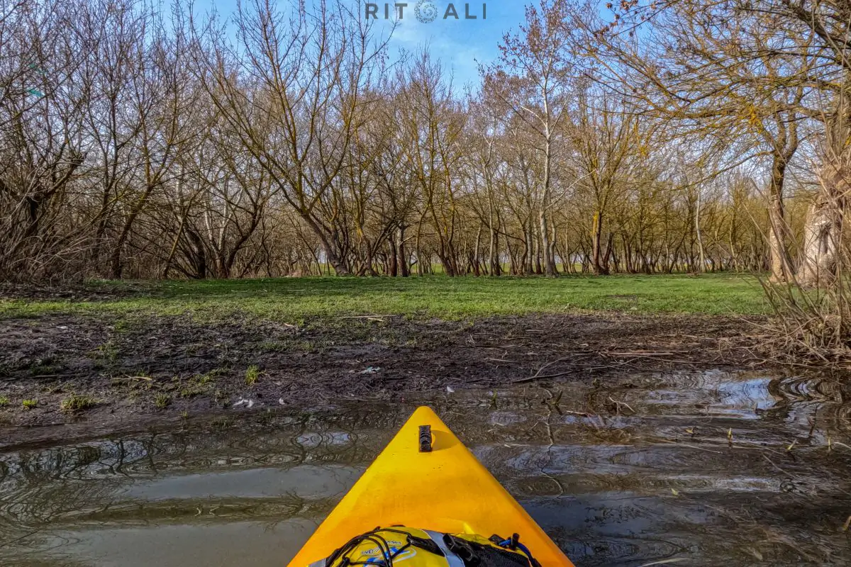JEZERO TISA. MAGIJA ZIME U MOČVARI