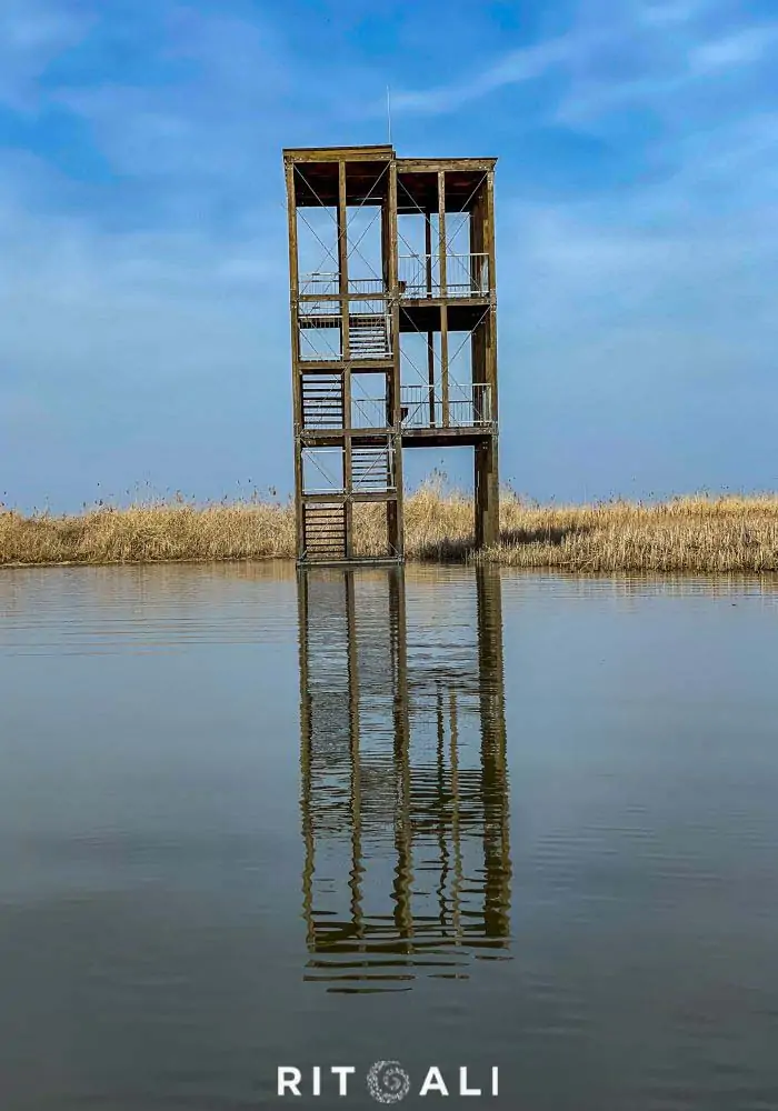 JEZERO TISA. MAGIJA ZIME U MOČVARI