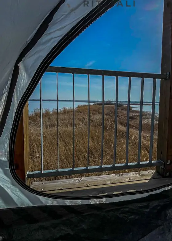 JEZERO TISA. MAGIJA ZIME U MOČVARI