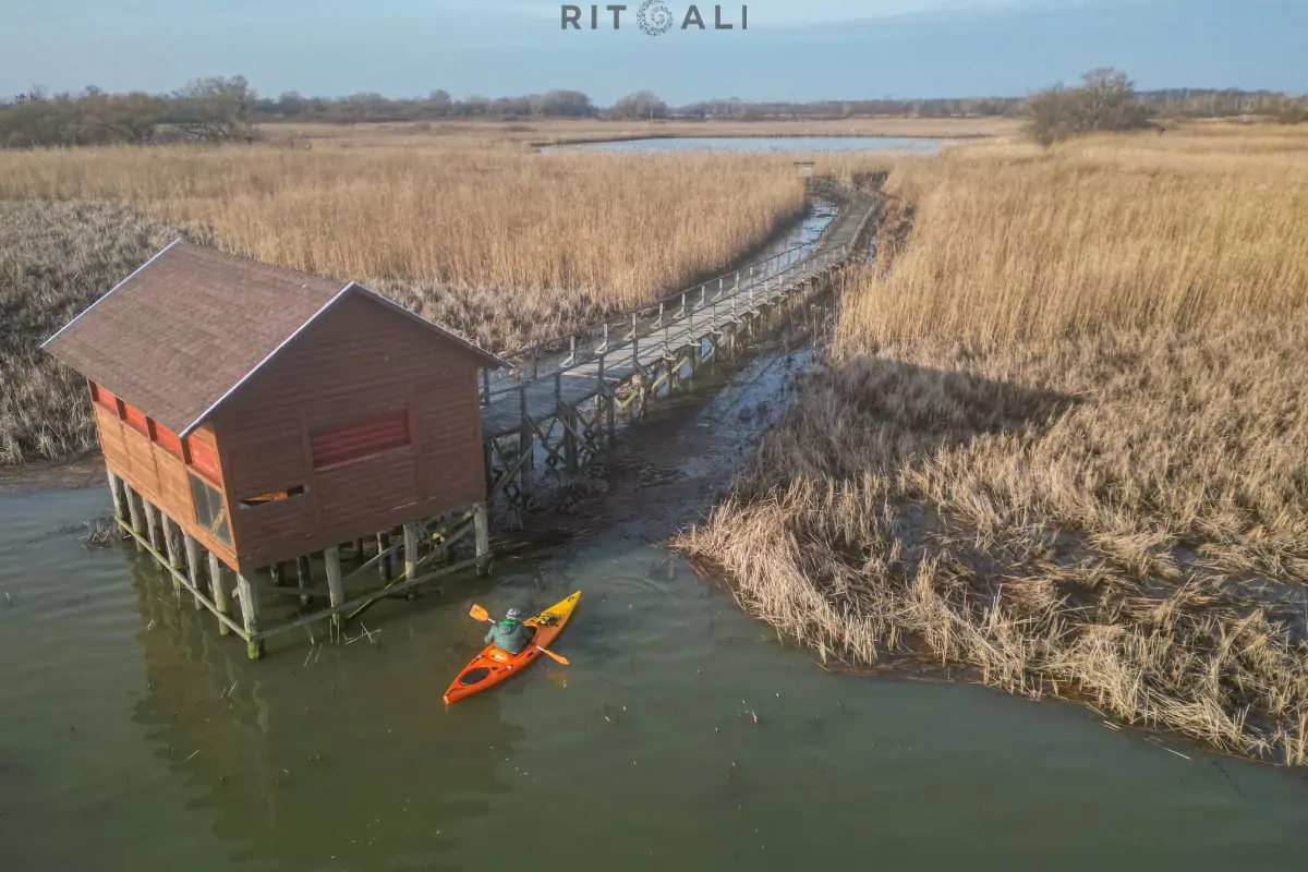 JEZERO TISA. MAGIJA ZIME U MOČVARI
