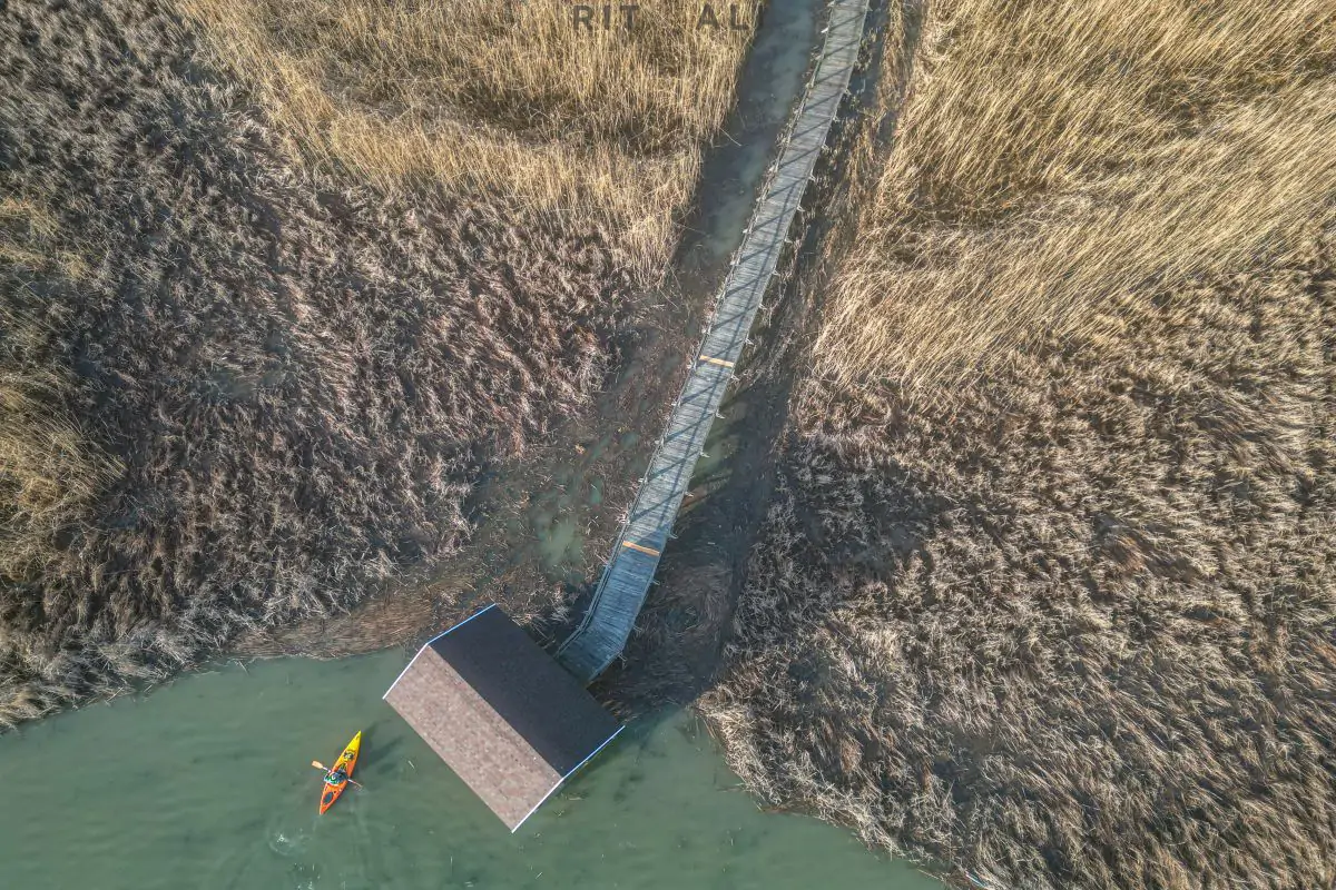 JEZERO TISA. MAGIJA ZIME U MOČVARI