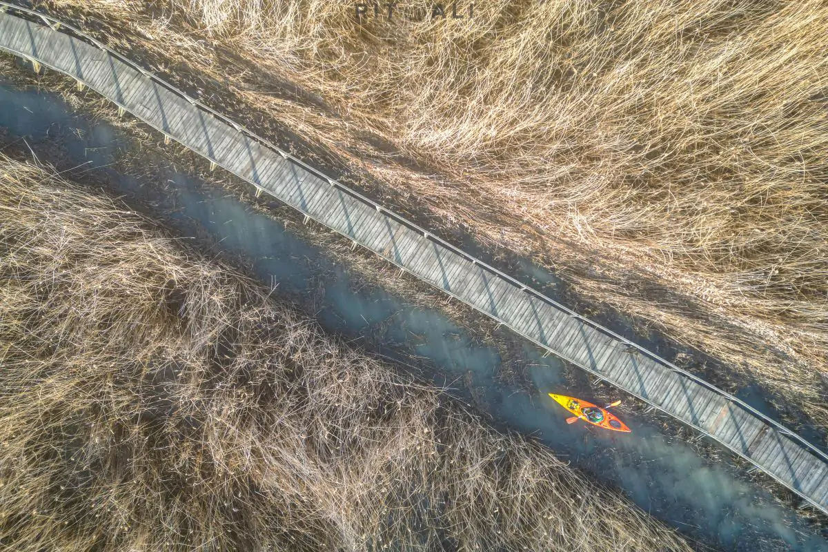 JEZERO TISA. MAGIJA ZIME U MOČVARI