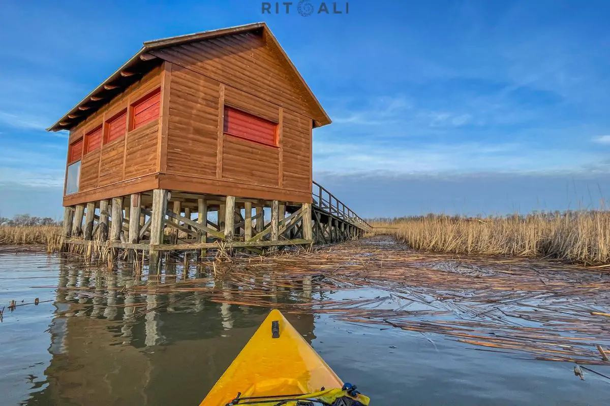 JEZERO TISA. MAGIJA ZIME U MOČVARI