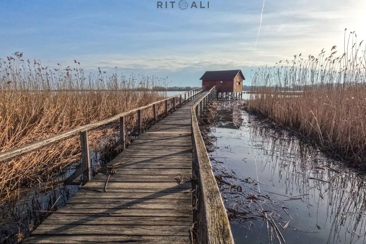 JEZERO TISA. MAGIJA ZIME U MOČVARI