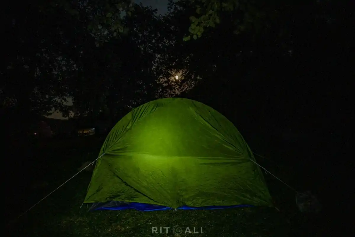 BRASOV. ZARNESTI. MEDVEĐA POSLA