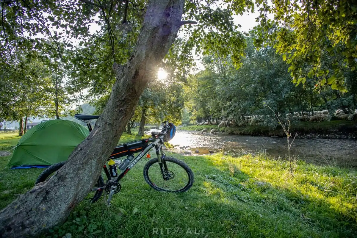 BRASOV. ZARNESTI. MEDVEĐA POSLA