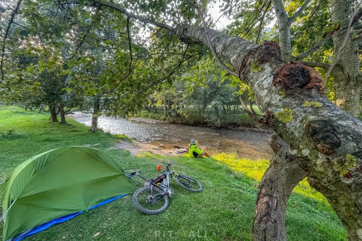 BRASOV. ZARNESTI. MEDVEĐA POSLA