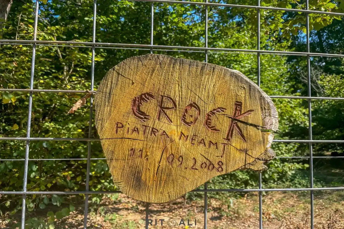 BRASOV. ZARNESTI. MEDVEĐA POSLA