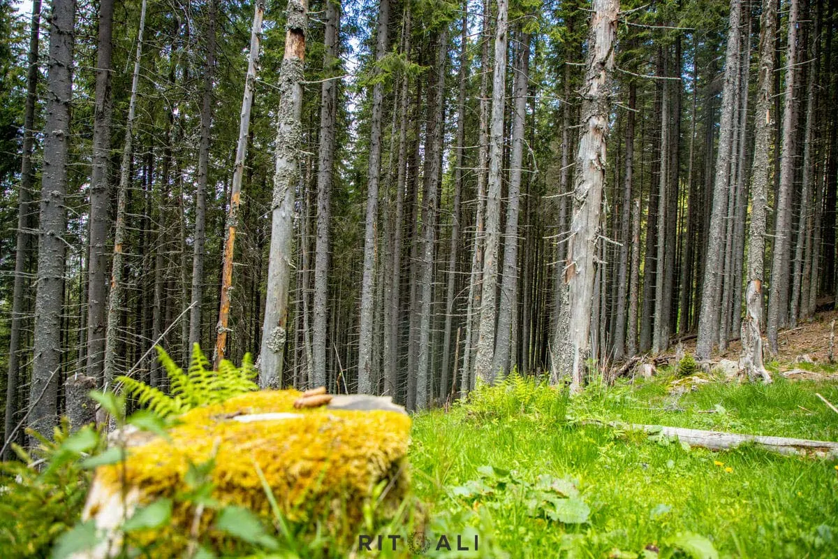 ZEMLJA IZNAD PLANINA. TRANSALPINA BICIKLOM.