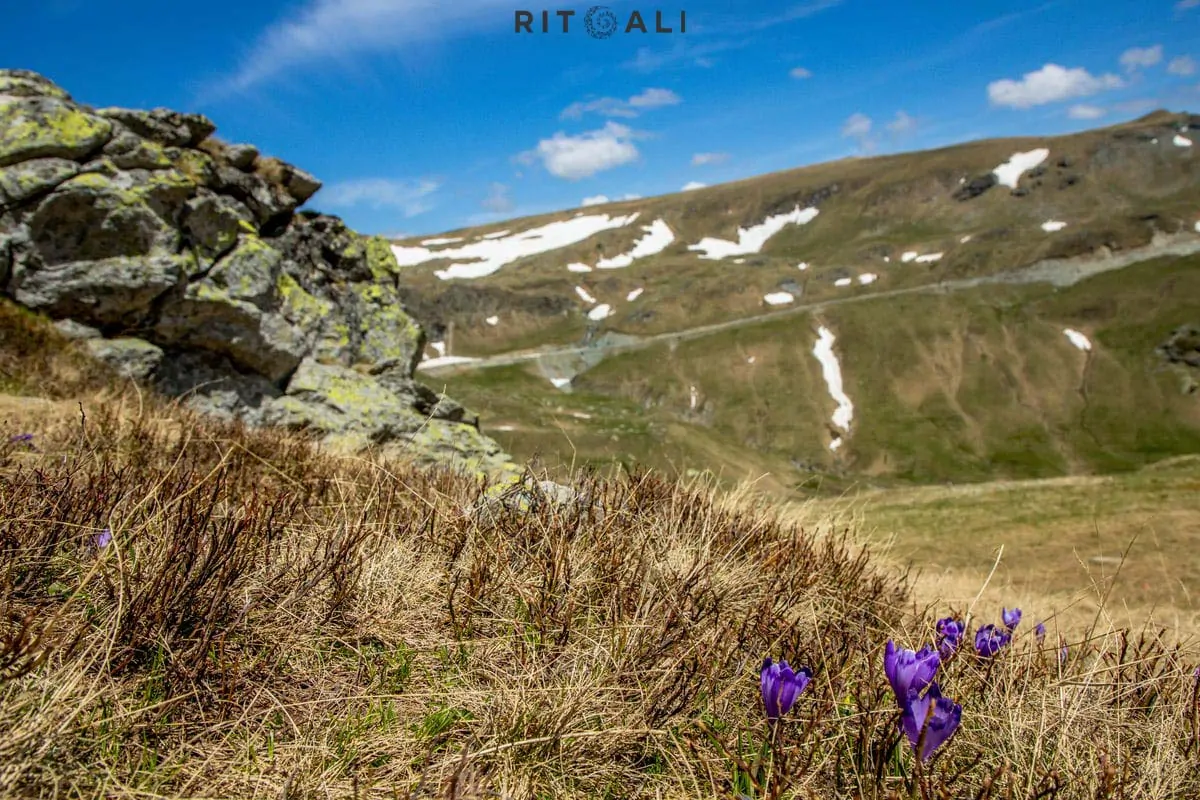 ZEMLJA IZNAD PLANINA. TRANSALPINA BICIKLOM.