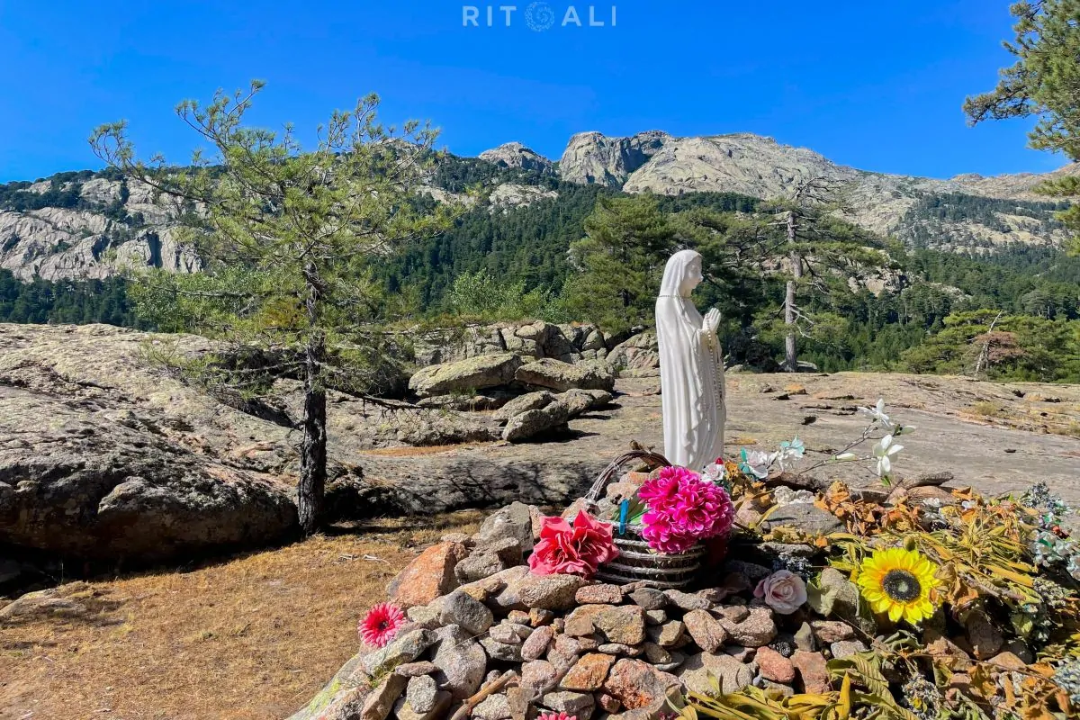 KORZIKA. OSTRVO PLANINA, MORA I SVINJA