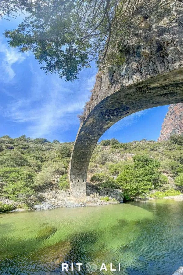 KORZIKA. OSTRVO PLANINA, MORA I SVINJA