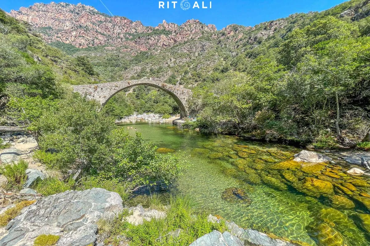 KORZIKA. OSTRVO PLANINA, MORA I SVINJA
