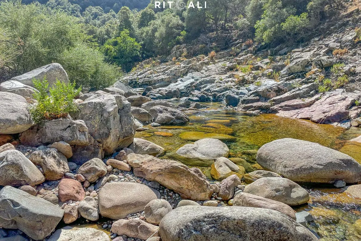 KORZIKA. OSTRVO PLANINA, MORA I SVINJA