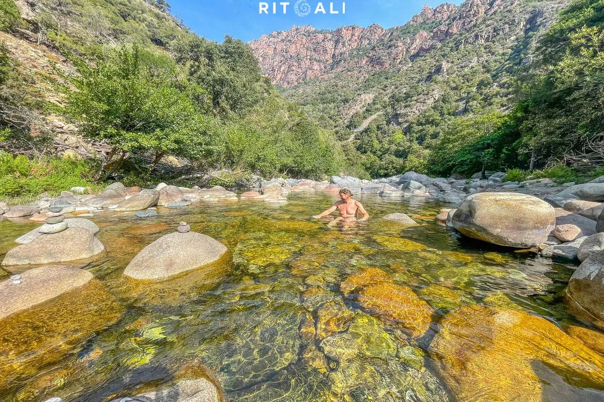 KORZIKA. OSTRVO PLANINA, MORA I SVINJA