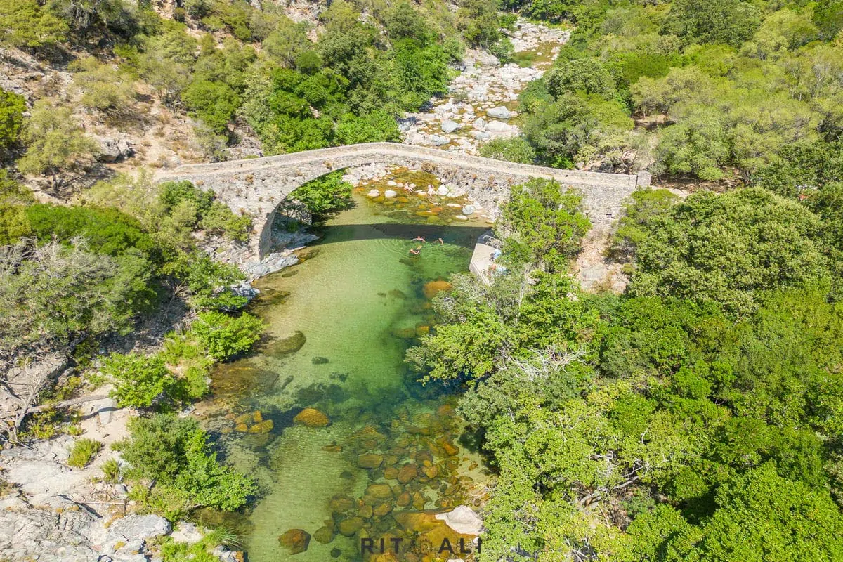 KORZIKA. OSTRVO PLANINA, MORA I SVINJA