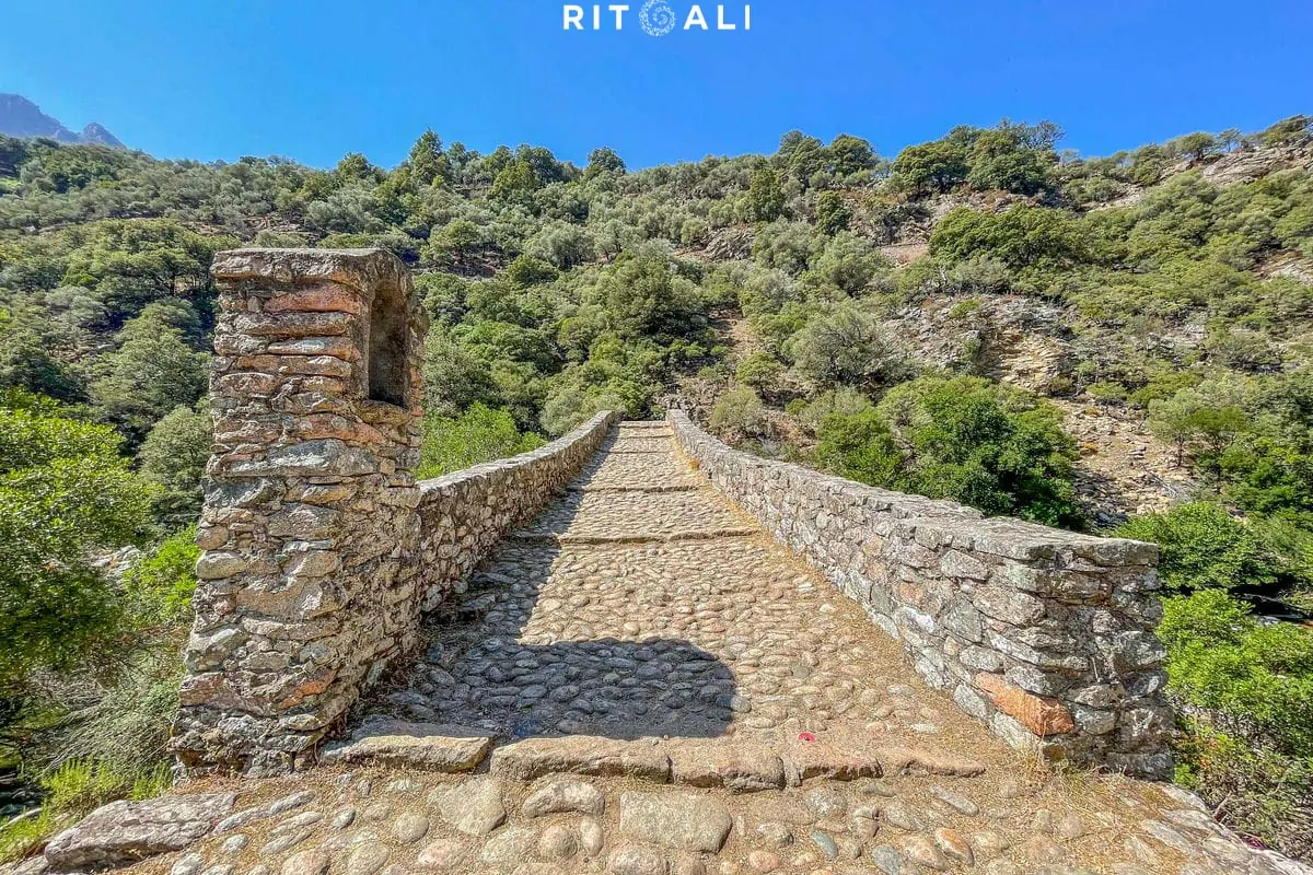 KORZIKA. OSTRVO PLANINA, MORA I SVINJA