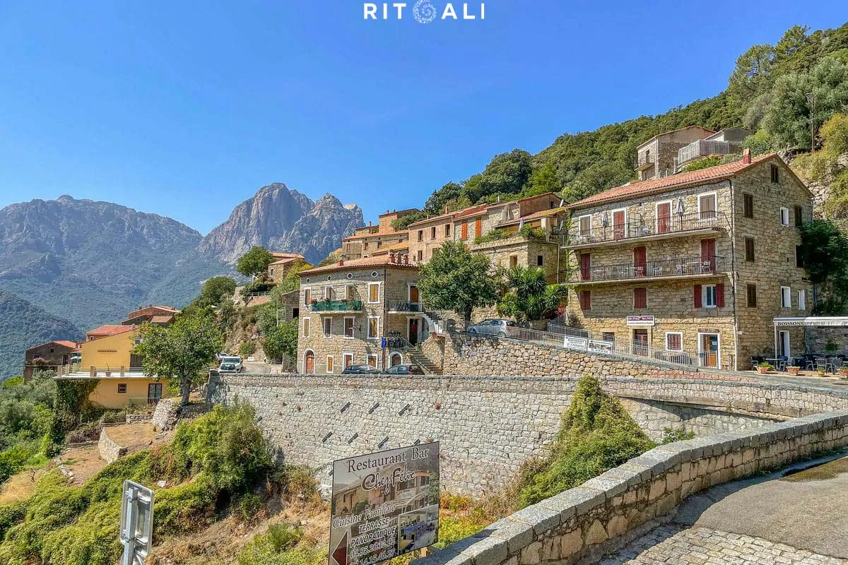 KORZIKA. OSTRVO PLANINA, MORA I SVINJA