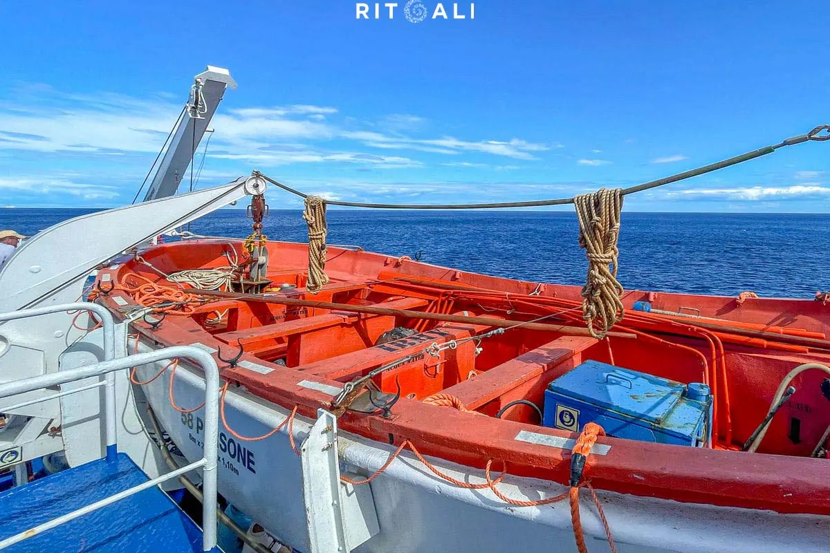 KORZIKA. OSTRVO PLANINA, MORA I SVINJA