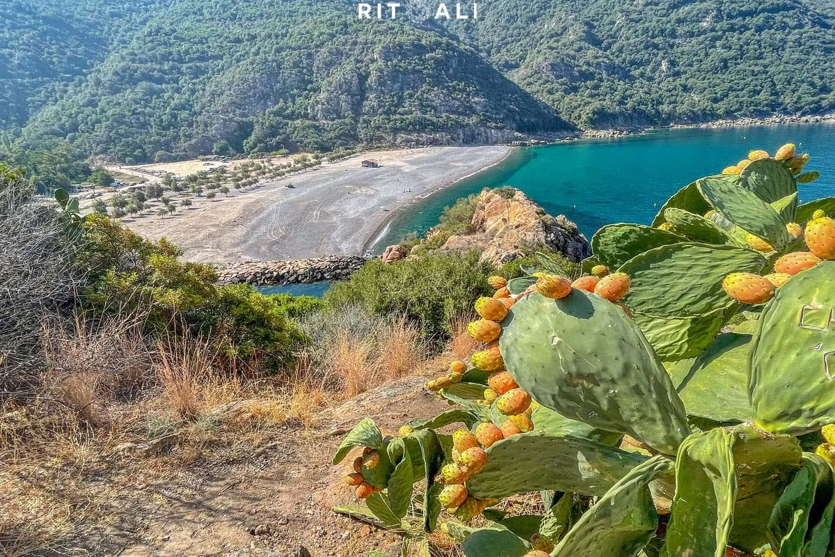 KORZIKA. OSTRVO PLANINA, MORA I SVINJA