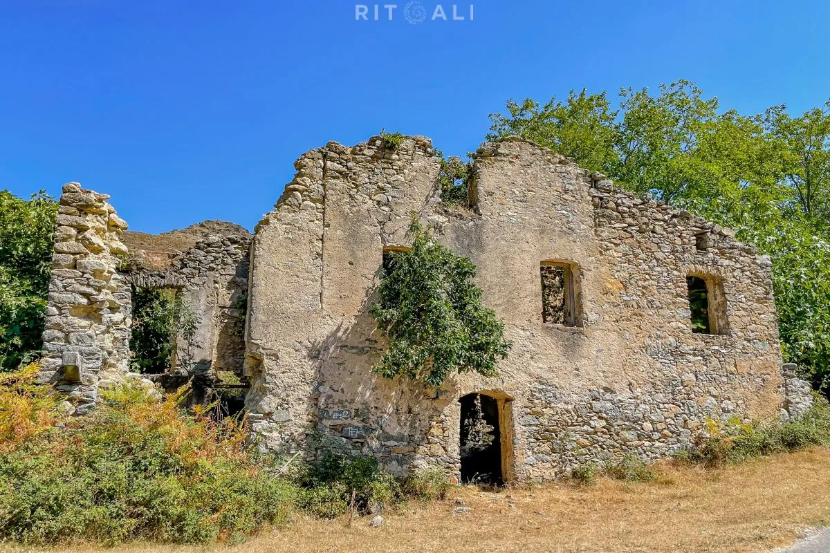 KORZIKA. OSTRVO PLANINA, MORA I SVINJA