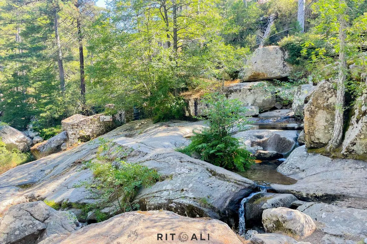 KORZIKA. OSTRVO PLANINA, MORA I SVINJA