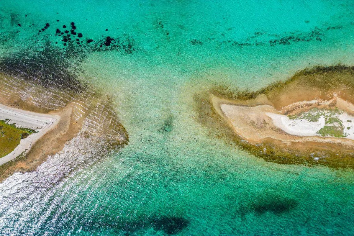 OTOK OLIB. MEDITERANSKA FJAKA